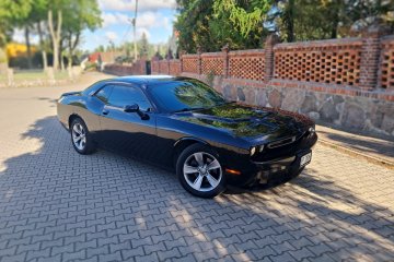 3.6  SXT